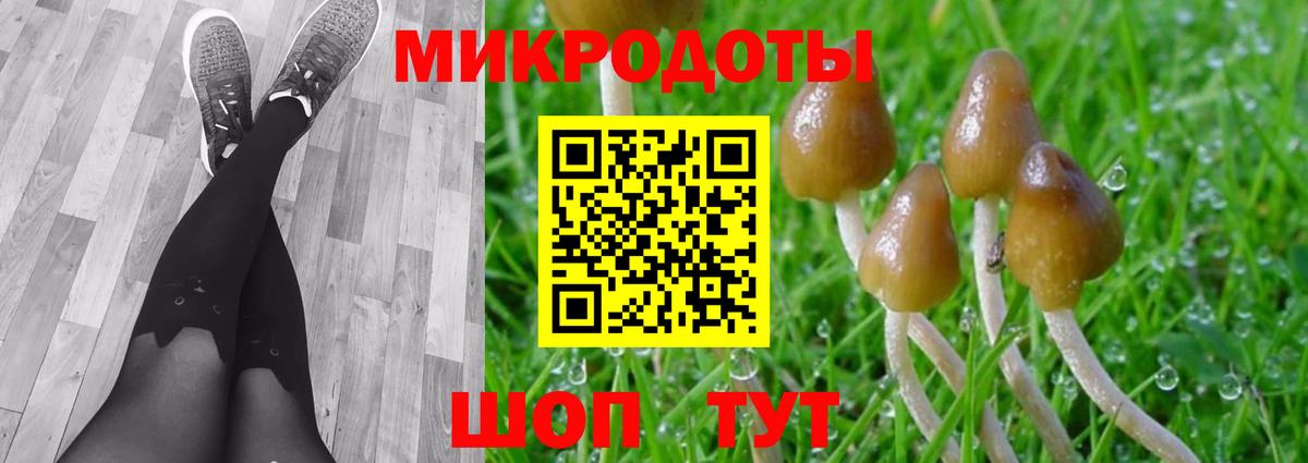купить наркотики сайты  Вход с VPN  Алушта  Галлюциногенные грибы мицелий 